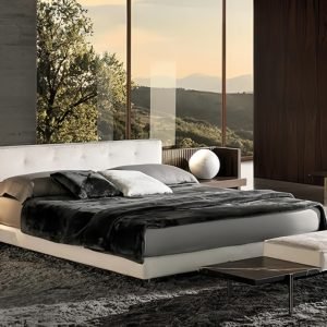Modern Brasilia Bed